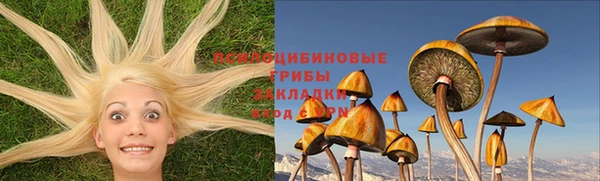 таблы Новозыбков