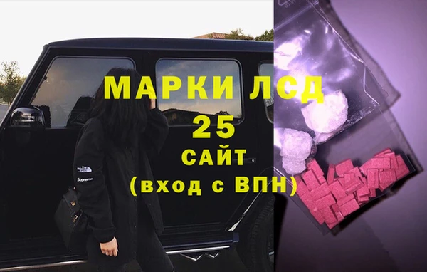 таблы Новозыбков