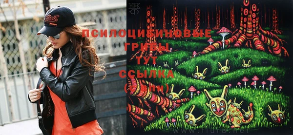 таблы Новокубанск