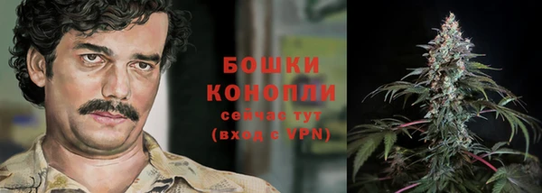 Альфа ПВП Новодвинск