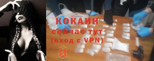 таблы Новозыбков