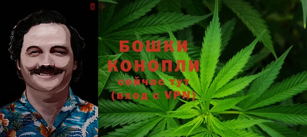 таблы Новозыбков