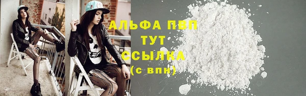 таблы Новозыбков