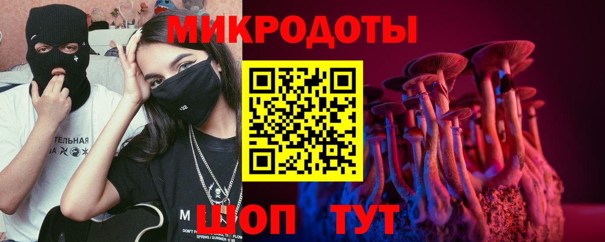 Биробиджан  Псилоцибиновые грибы мицелий  Вход с VPN 
